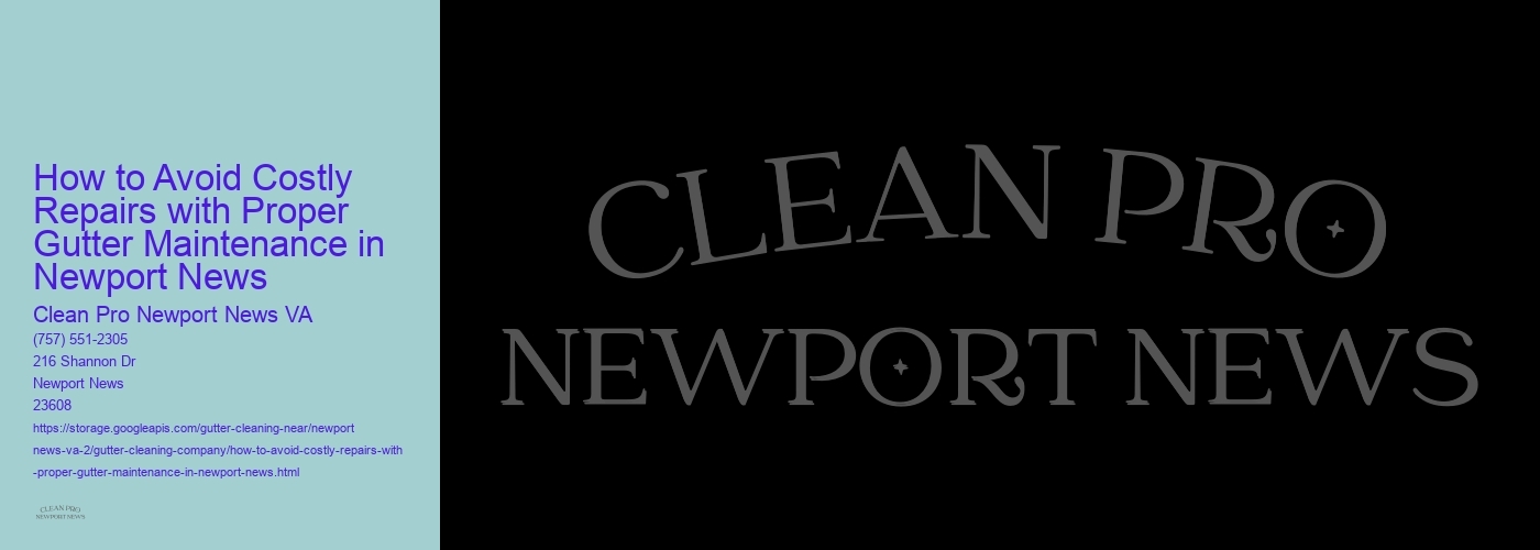 How to Avoid Costly Repairs with Proper Gutter Maintenance in Newport News 
